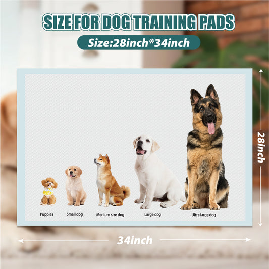 Dog Training Pads - Multi use