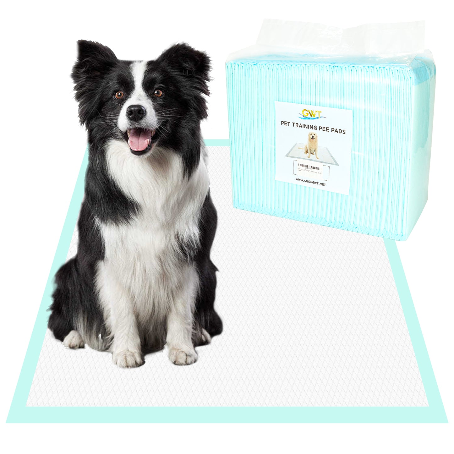 GWT Dog Puppy Training Pee Pads, Quick Drying & 5 Layer Leakproof Design, Blue & White